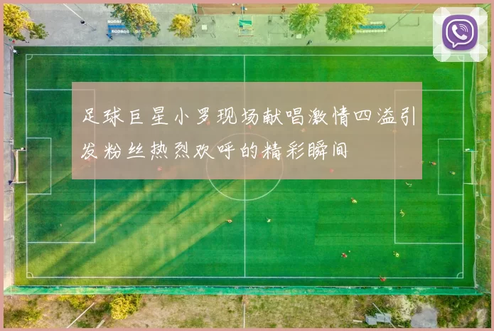 足球巨星小罗现场献唱激情四溢引发粉丝热烈欢呼的精彩瞬间