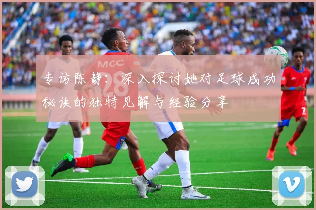 专访陈静：深入探讨她对足球成功秘诀的独特见解与经验分享