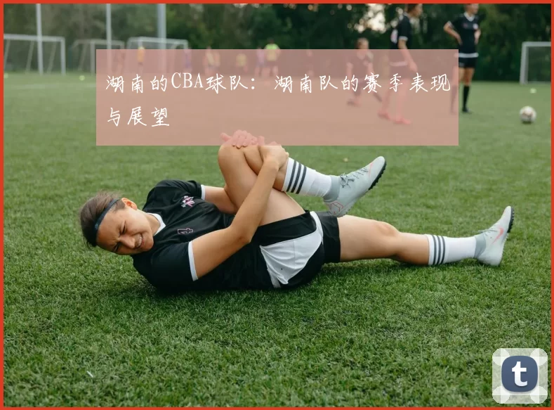 湖南的CBA球队：湖南队的赛季表现与展望