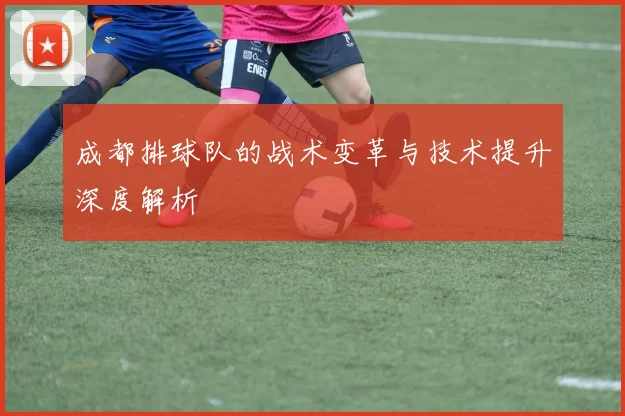 成都排球队的战术变革与技术提升深度解析