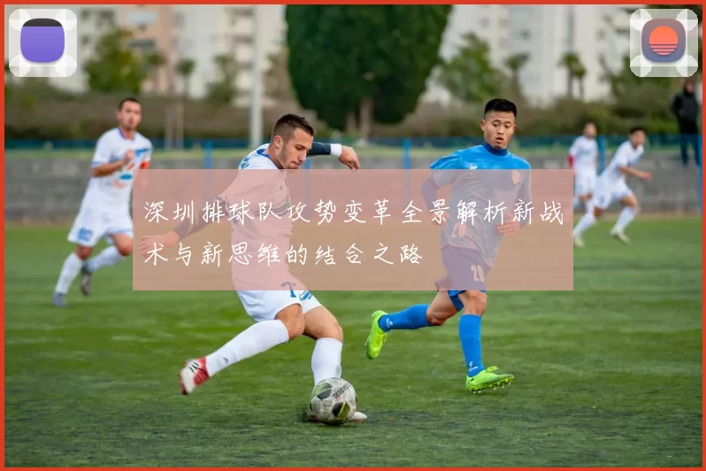 深圳排球队攻势变革全景解析新战术与新思维的结合之路