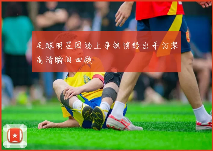 足球明星因场上争执愤怒出手打架高清瞬间回顾