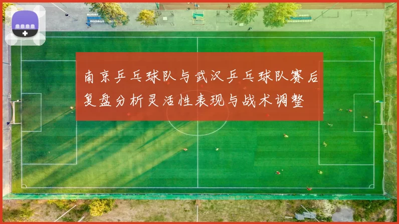 南京乒乓球队与武汉乒乓球队赛后复盘分析灵活性表现与战术调整