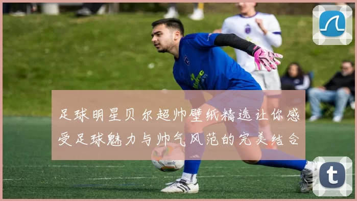 足球明星贝尔超帅壁纸精选让你感受足球魅力与帅气风范的完美结合