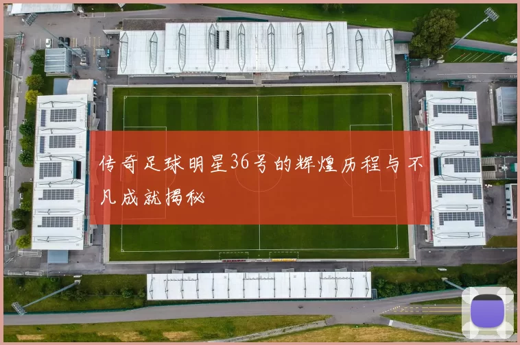 传奇足球明星36号的辉煌历程与不凡成就揭秘