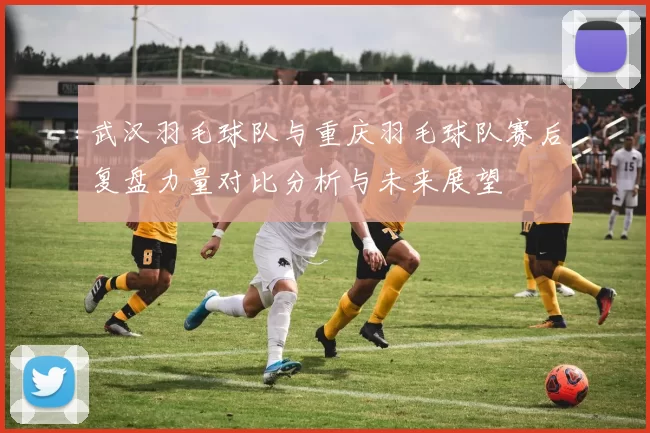 武汉羽毛球队与重庆羽毛球队赛后复盘力量对比分析与未来展望