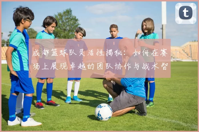 成都篮球队灵活性揭秘：如何在赛场上展现卓越的团队协作与战术智慧
