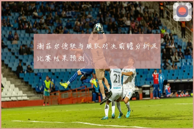 谢菲尔德联与狼队对决前瞻分析及比赛结果预测