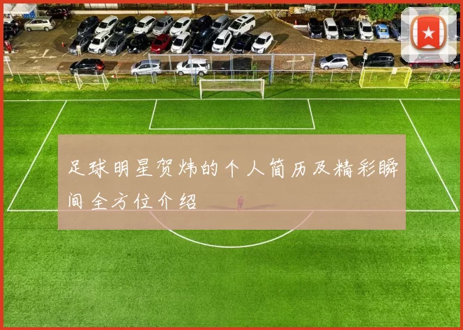 足球明星贺炜的个人简历及精彩瞬间全方位介绍