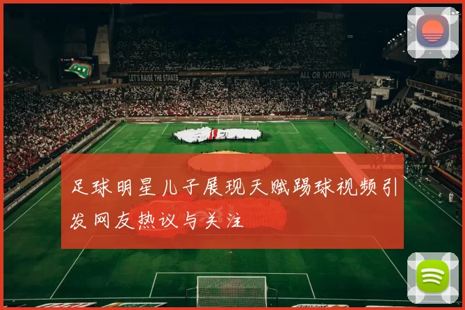 足球明星儿子展现天赋踢球视频引发网友热议与关注