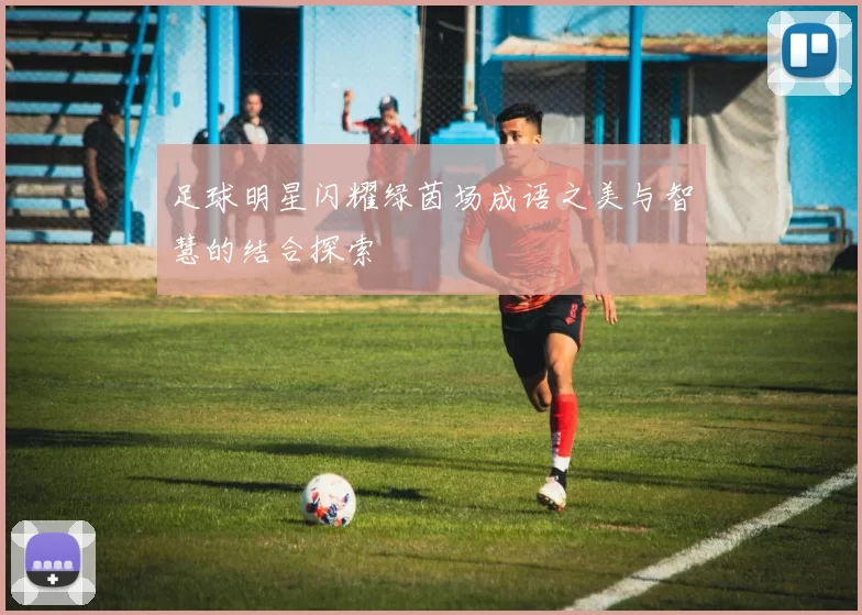 足球明星闪耀绿茵场成语之美与智慧的结合探索