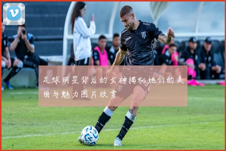 足球明星背后的女神揭秘她们的美丽与魅力图片欣赏