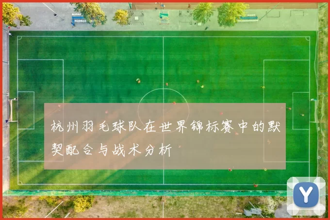 杭州羽毛球队在世界锦标赛中的默契配合与战术分析